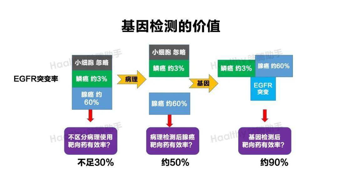 免费获取最新版新澳精准资料，提升决策效率的智慧之选