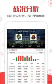 探寻彩市奥秘，二四六天天好料的免费资料大全与小说全文