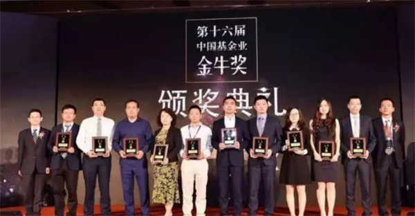 42983，金牛网论坛的独特魅力与价值