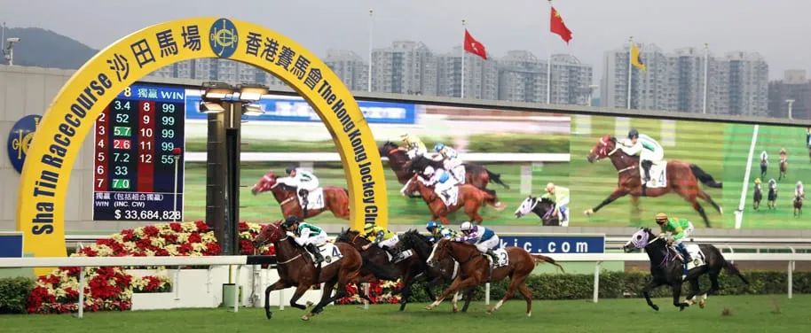 1326-马会传真论坛资料，揭秘香港赛马的独特魅力与信息交流平台
