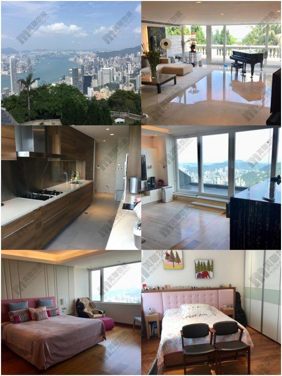 免费获取香港资料，探索长期公开的网站资源