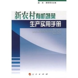 香港资料大全2031，全面指南与实用信息