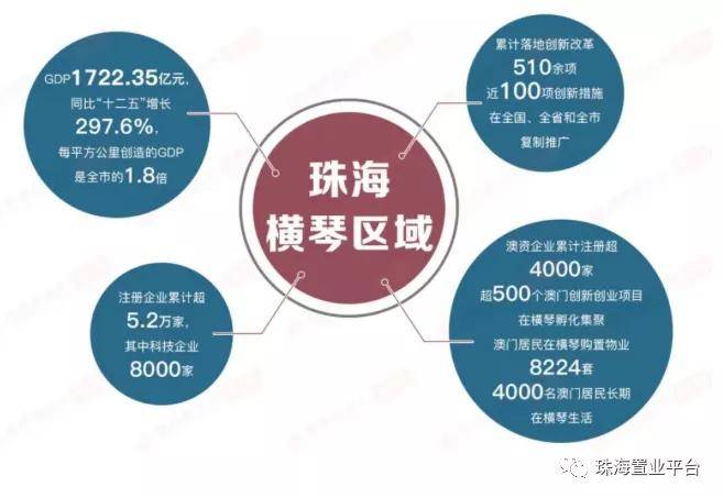 探索新澳现场开奖，今天最新一期结果的深度解析