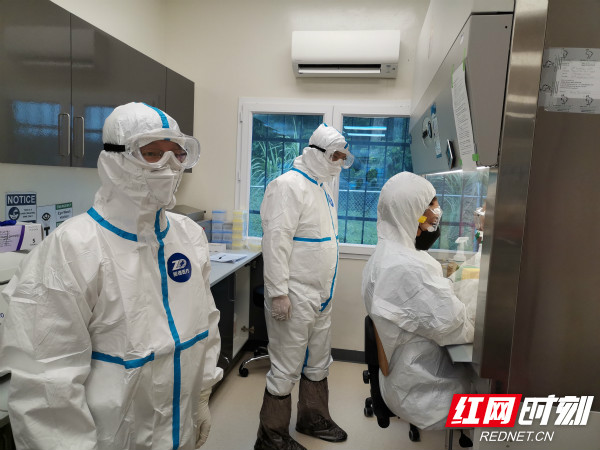 希望之光，Hope组合最新动态与未来展望——音乐界的璀璨新星