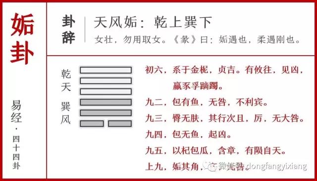 揭秘二四六玄机图，资料大全详解与最新解析