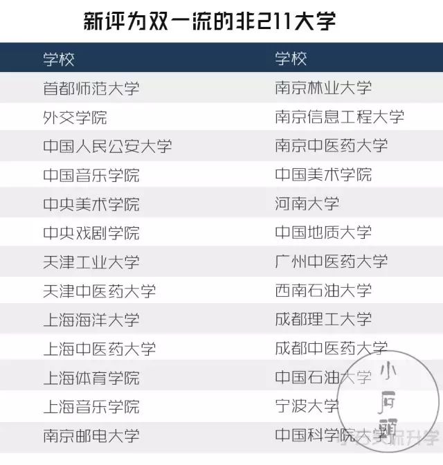 揭秘二四六天天玄机图，2019最新标准与深度解析