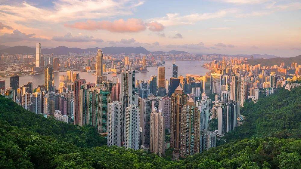 香港资料共享大全，一站式了解香港的全方位信息
