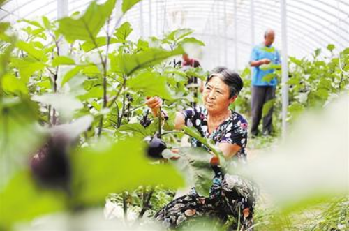 探索二四六香港资料，期中资料的独特优势与价值