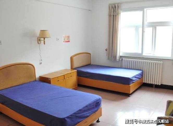 香港资料免费大全一览表最新版，全面指南与实用资源汇总