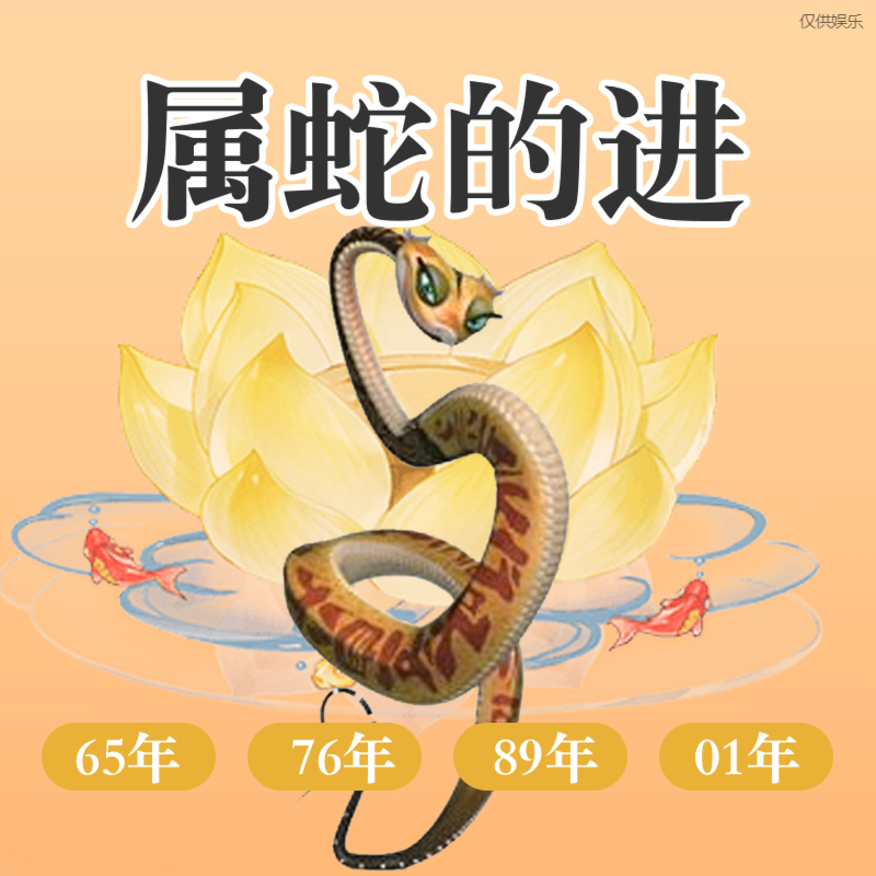 探索香港2045年属蛇号码的奥秘，正版免费资料的重要性