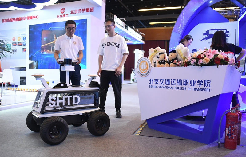 2019六开彩，探索数字世界的幸运之旅