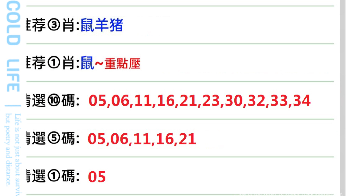 澳门六开彩今日揭晓，2019年8月7日幸运数字的探索与期待