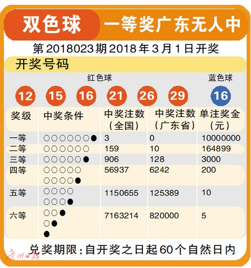 今期新澳门开奖结果记录，透视彩票背后的数字与故事