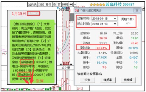 探索自然奇观，海鸥的飞翔加速度