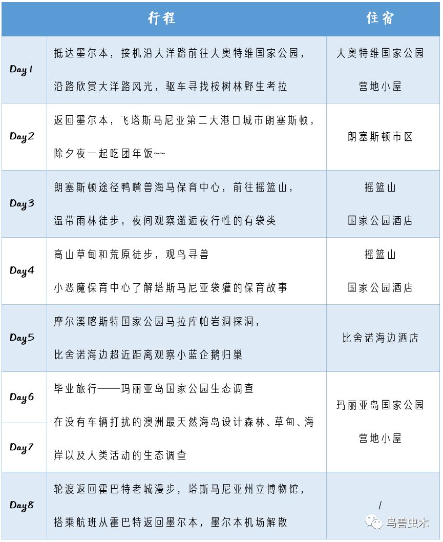 蓝月亮精选料X5