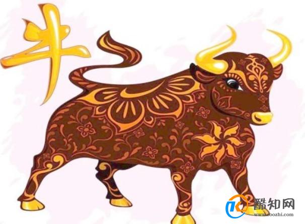澳门新彩今日开奖生肖图，揭秘幸运之谜与文化传承