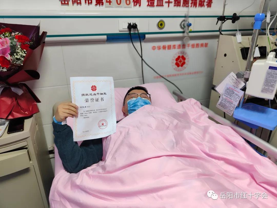 探索香港资料库，正版资源与官方服务的权威平台