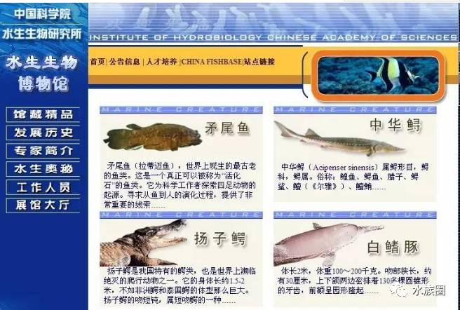 失踪的香港资料库，信息时代的隐忧与反思