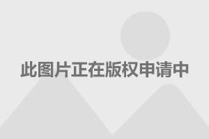 探索香港资讯的宝藏之地，揭秘香江论坛——全港资料最丰富的在线交流平台