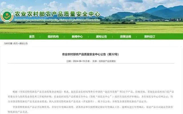 免费获取新澳精准资料的网站，信息详解与实用指南