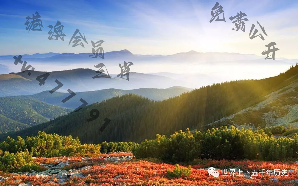 探索新澳现场开奖的最新动态，今日结果揭秘