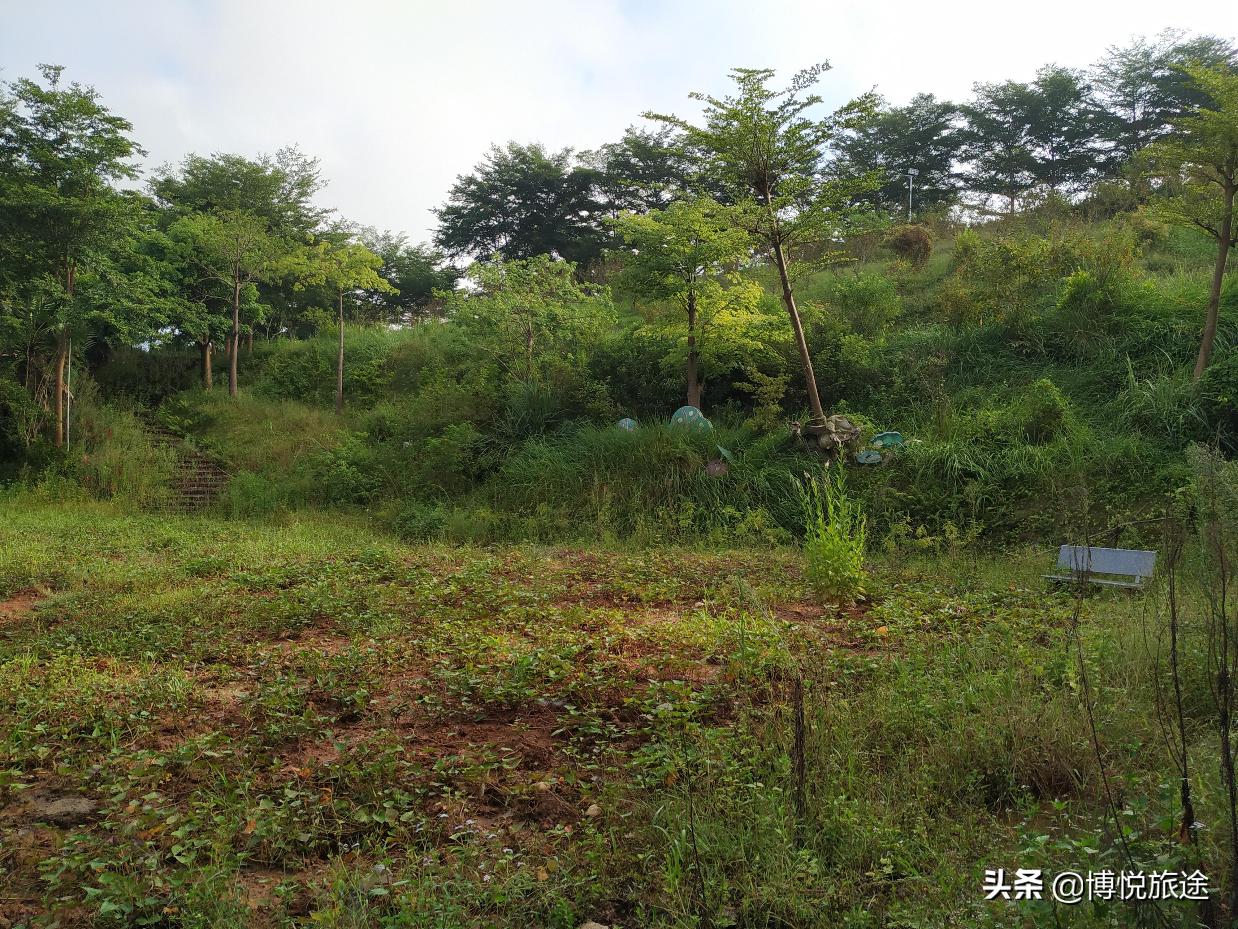 2035年香港资料精准罗定花仙谷乐园，梦幻之旅的未来展望