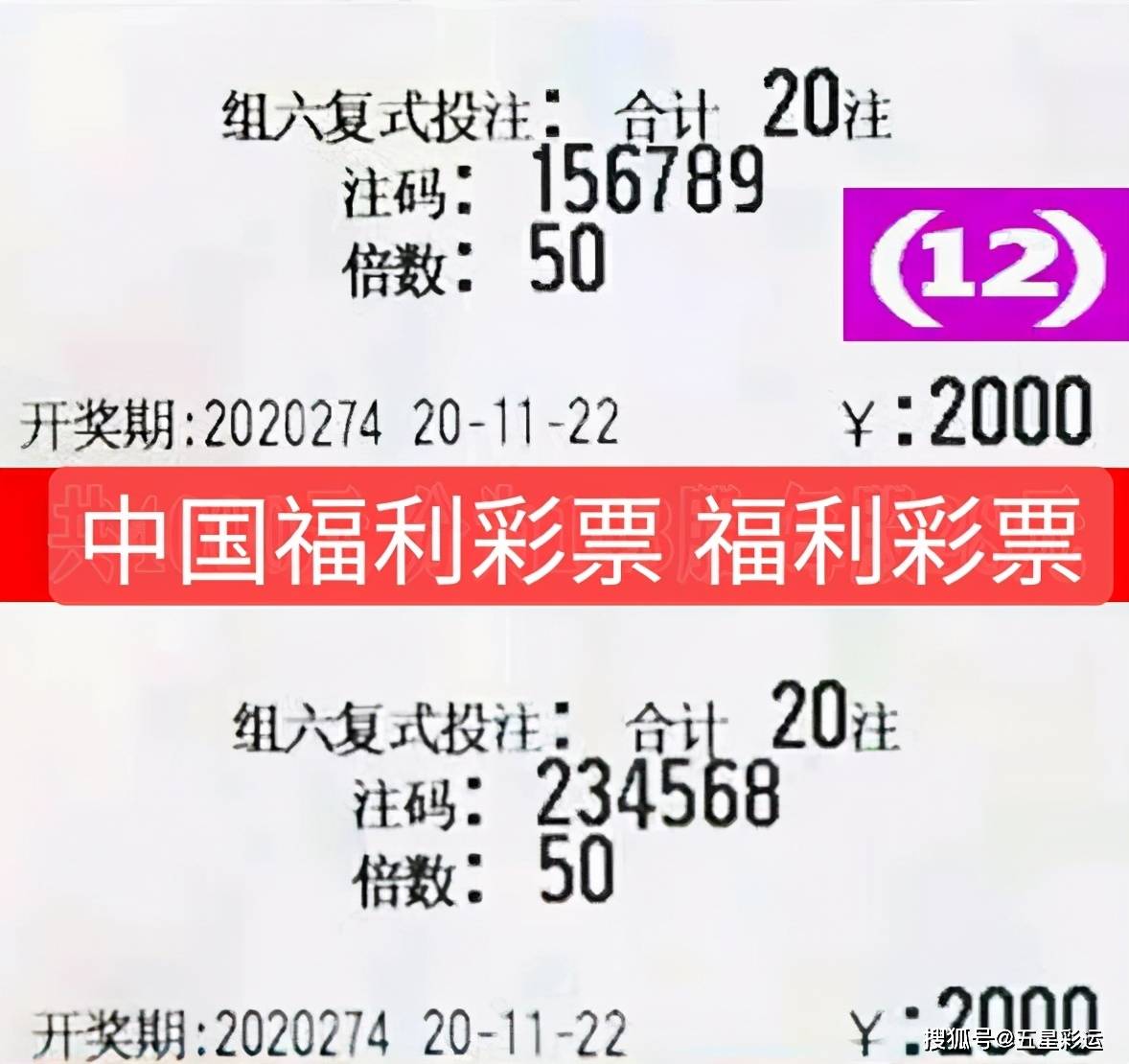免费正版马会资料大全，理性投注，共享智慧