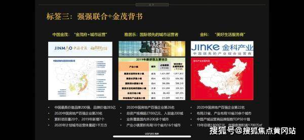 新澳2046最新资料解析与展望