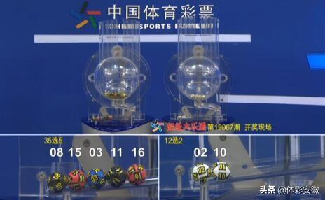 蓝月亮精选枓二四六资料大，揭秘彩票开奖的奥秘与理性态度