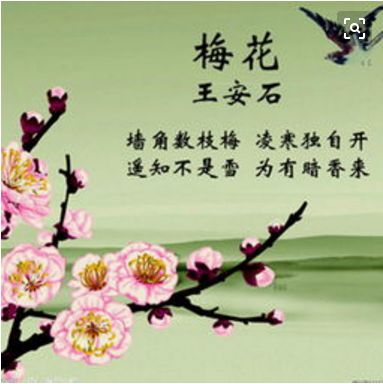 2046年新澳正版资料，生肖梅花诗全文最新更新