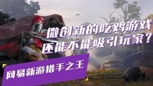 2046新澳正版资料，最新更新与玩游戏推荐