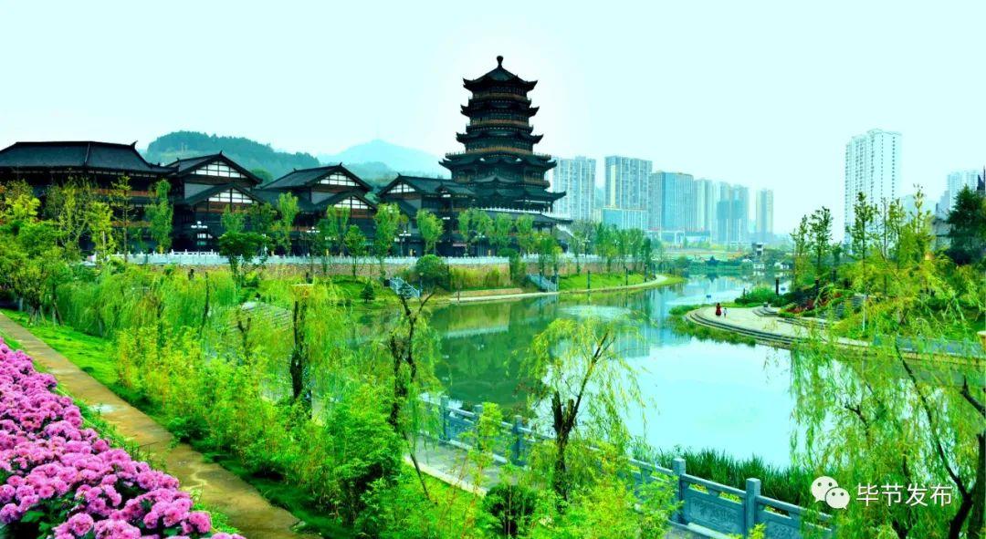 探索未来，香港资料图书204年最新公布