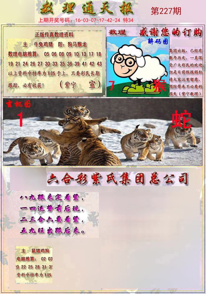 揭秘全香港最快最准的资料四不像，精准预测背后的奥秘