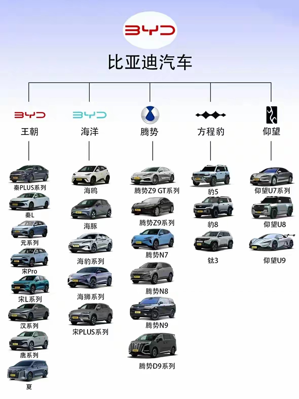 比亚迪汽车车型大全，从经典到未来，探索中国新能源汽车的无限可能