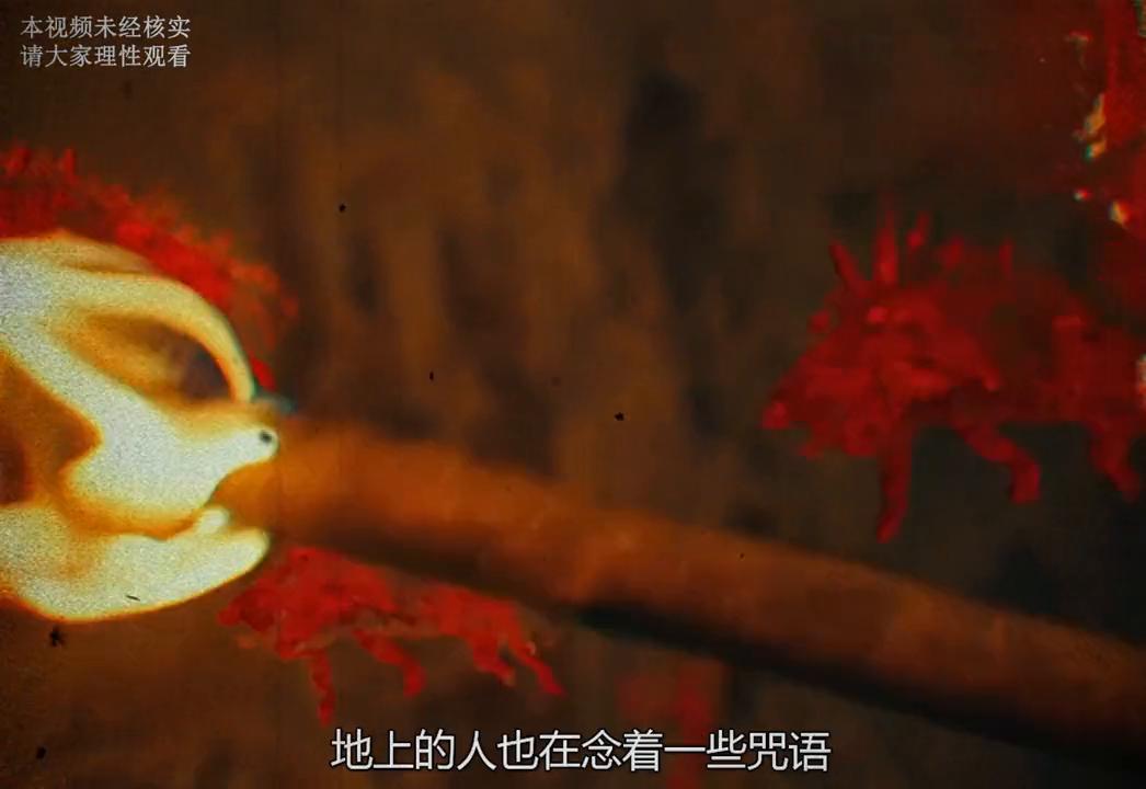 揭秘749局，国语版在线观看背后的神秘与真相