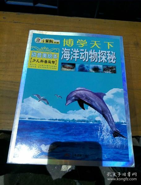 探索海鸥的拼音声调，一场关于自然与语言的奇妙之旅