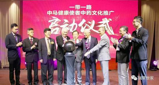 探索海鸥的奥秘，自然界的智慧使者