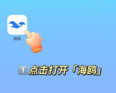 探索海鸥app，从官网下载开启智能生活新篇章