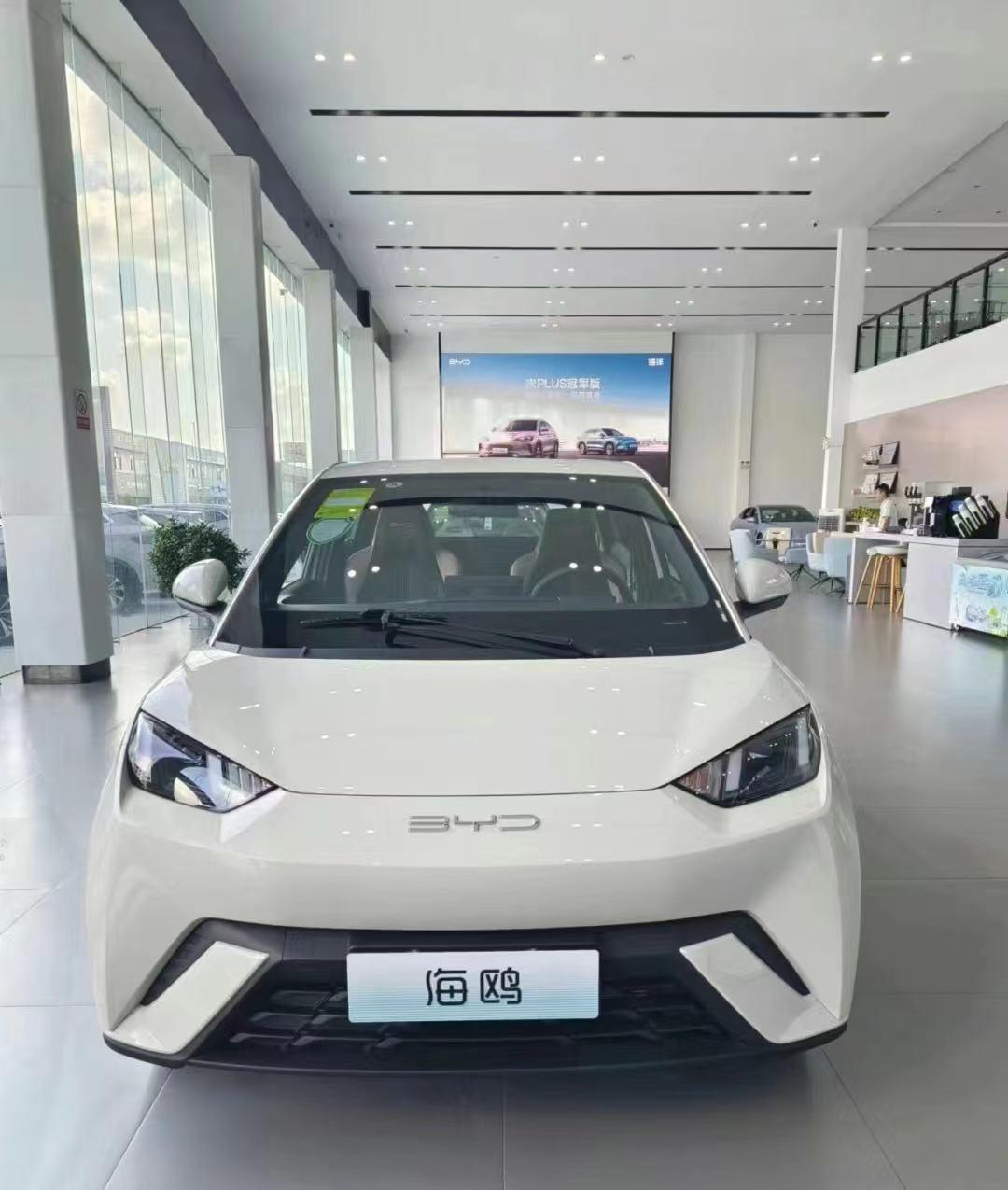 比亚迪海鸥，续航与性能的双重保障——揭秘其电池配置