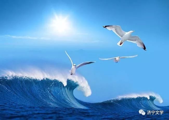 歌曲海鸥与逃跑计划的自由之歌
