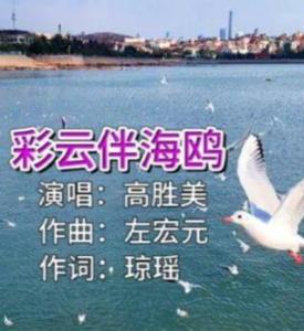 歌曲海鸥的国别之谜，跨越文化的音乐桥梁