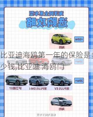 比亚迪海鸥，一年保险费用详解