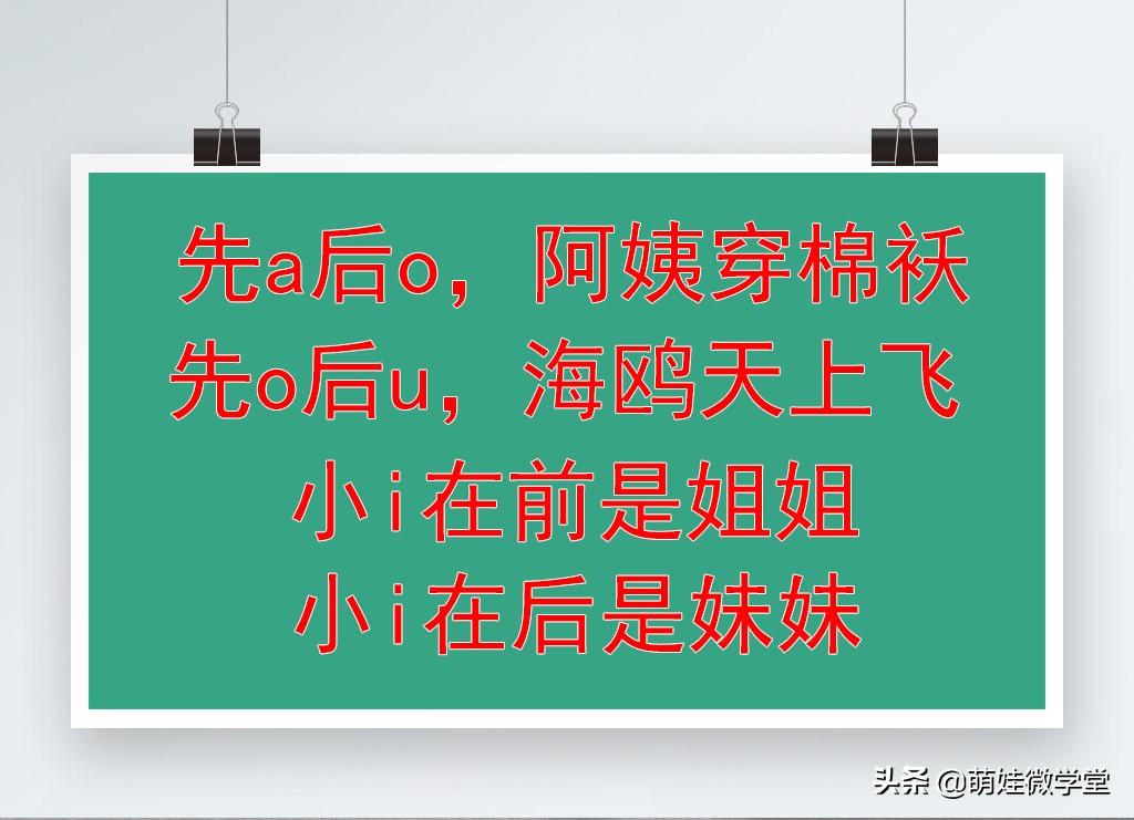 探索海鸥的拼音奥秘，从自然到文字