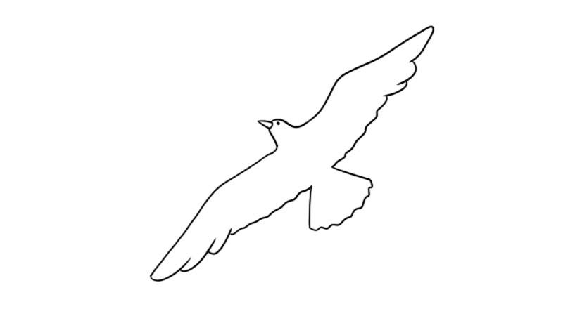 海鸥简笔画图片大全，一笔一划绘出自然之美