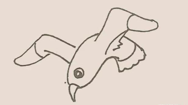 简单易学的海鸥简笔画教程