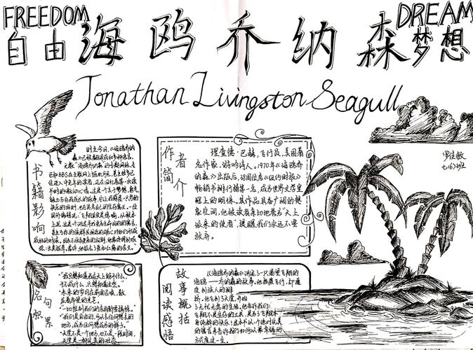 海鸥乔纳森手抄报制作指南——梦想与勇气的飞翔