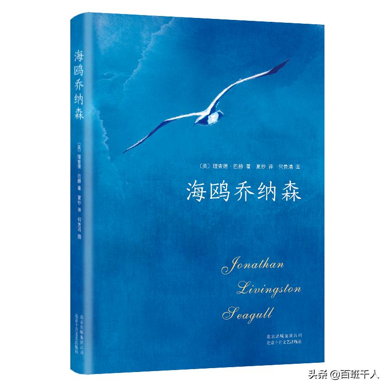 图片背后的飞翔之梦，海鸥乔纳森的传奇