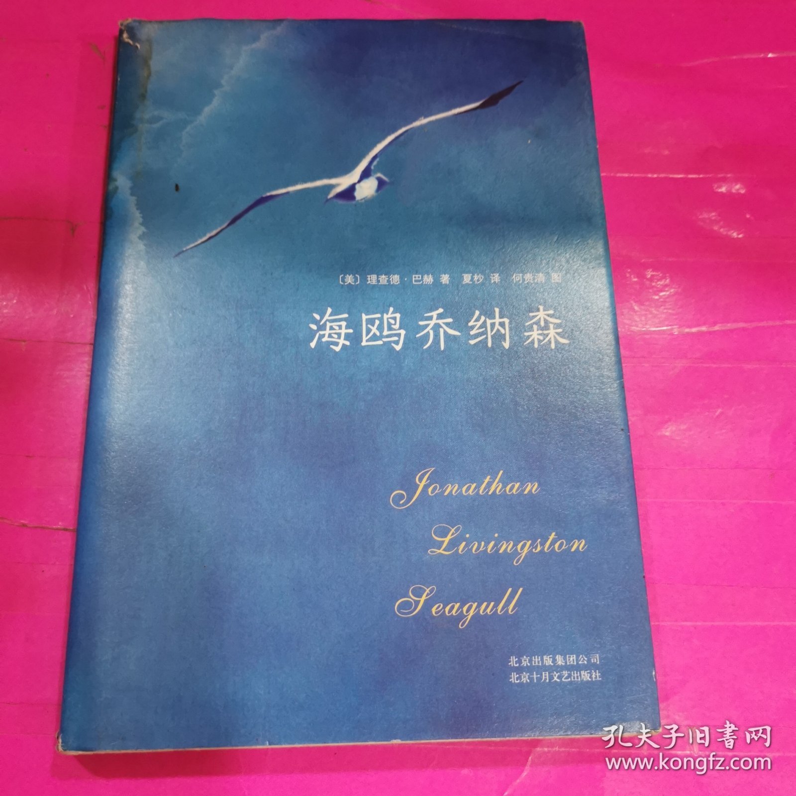 海鸥乔纳森人物关系图解——飞翔的灵魂与家族之爱
