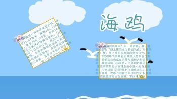 海鸥主题