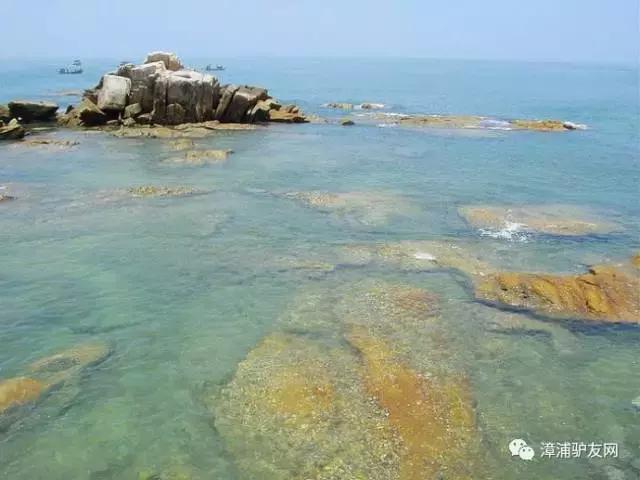 海鸥翱翔，一曲海天之间的浪漫交响